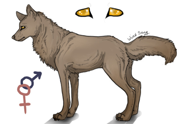 Wolf Reference Sheet Editable