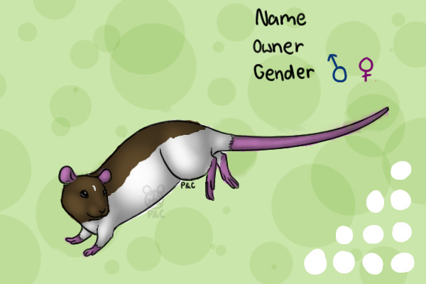 Gabby (my rat, R.I.P) WIP