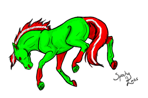 new horse