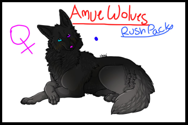 Amue Wolves Rush Pack Blue Dot Female!