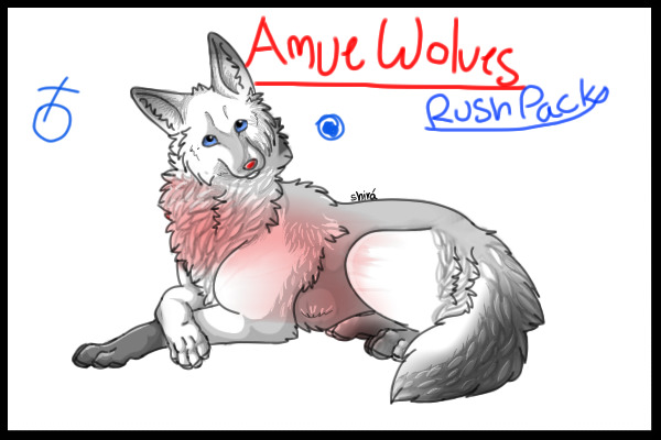 Amue Wolves Rush Pack Blue Dot Male