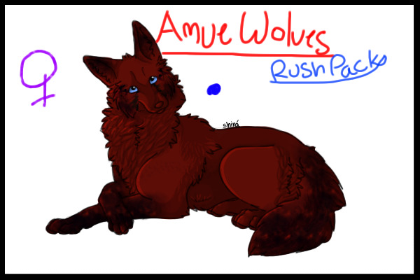 Amue Wolves Rush Pack Blue Dot Female!