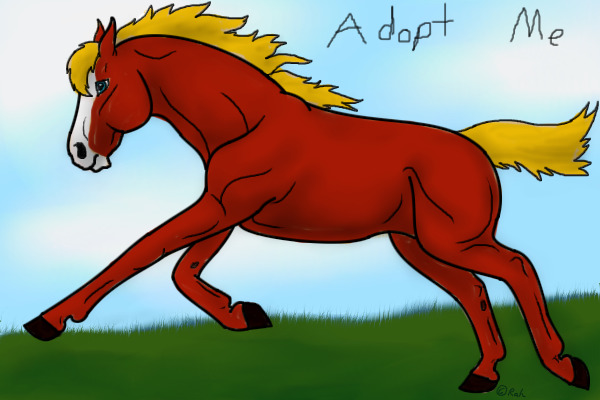 Wild Heart  Horse Adoptables