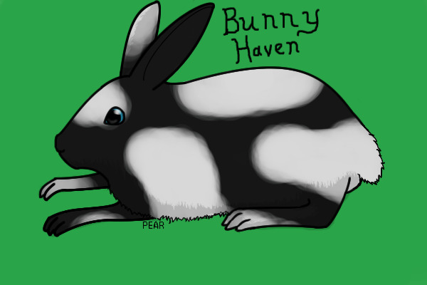 ~Bunny Haven~(Open)~Customs Open