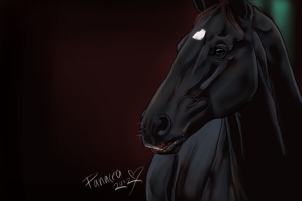My new horse <3