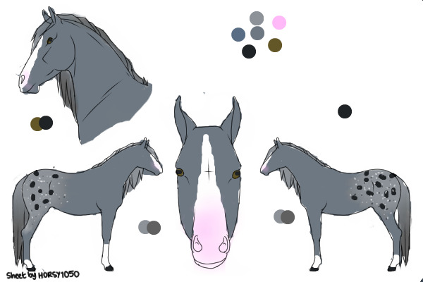 blue roan appaloosa mare