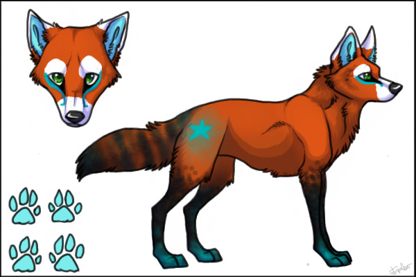 Red panda