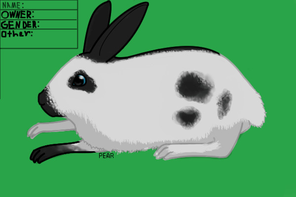 ~Bunny Haven~ Owner: Rio~