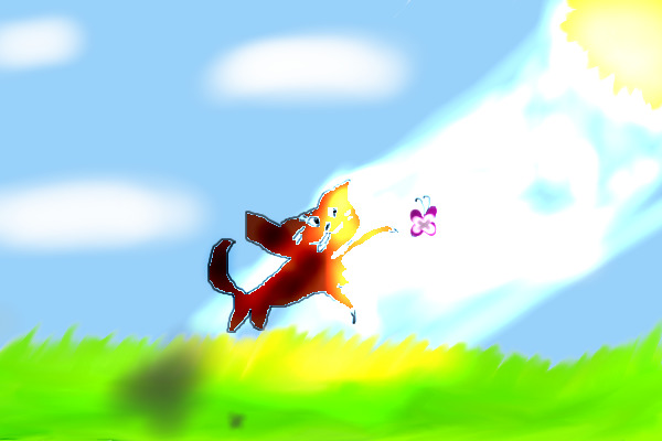 The Sun Shining Down on a Kitty Chasing a Butterfly