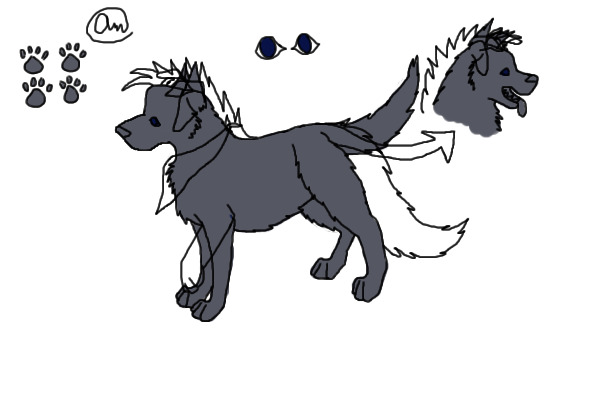 Canine Reference Sheet