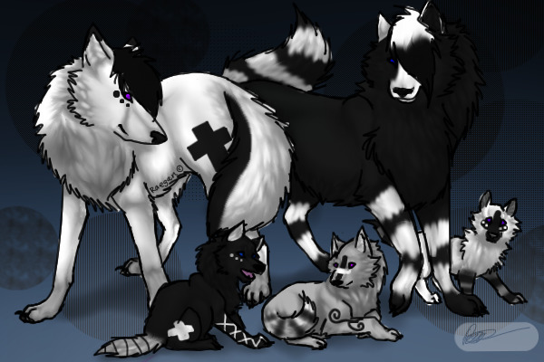 3 Puppies
