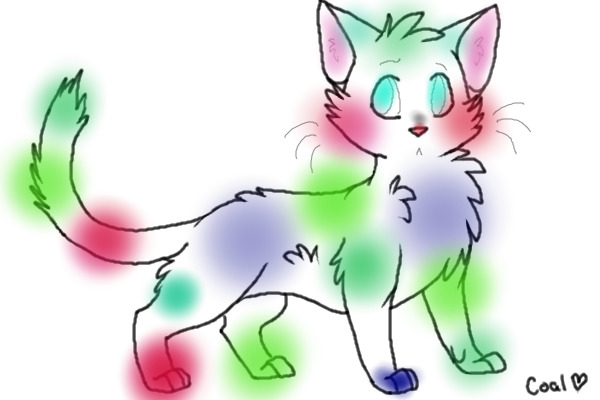 Color Kitten