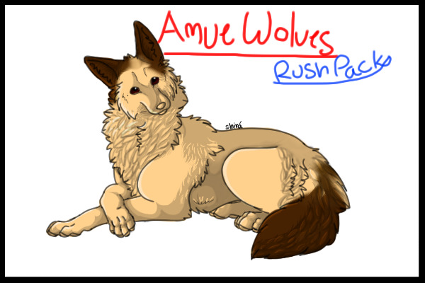 Any Gender Amue Wolf Blue DOT!
