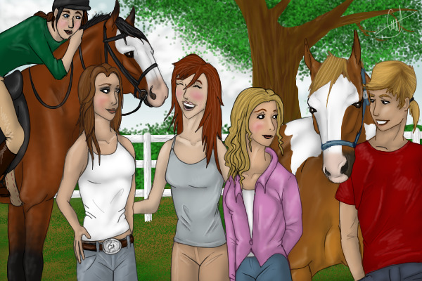 Welcome to Bayside Equestrian Stables