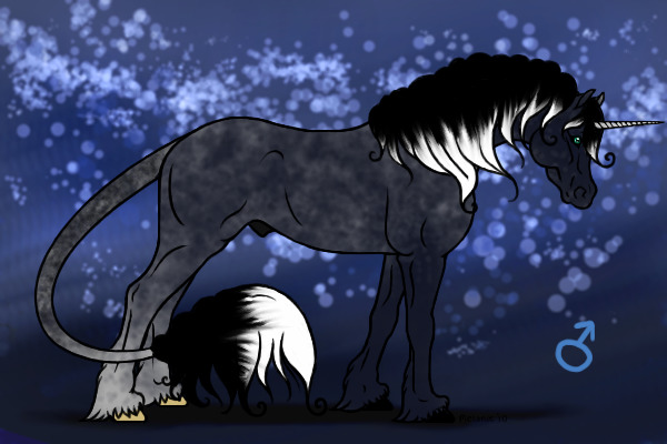 Blue Roan Stallion