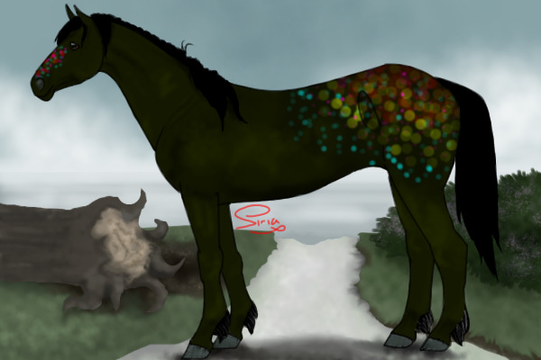 horse!