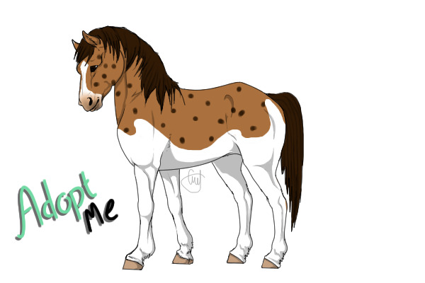 Sugar Pony: Chocolate Chip Cookie & Milk