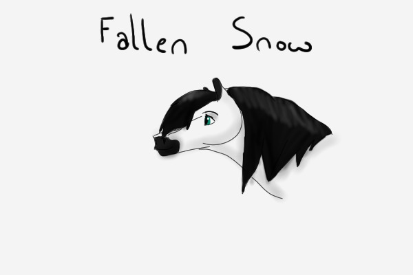 Fallen Snow