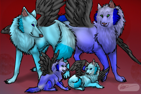the blue wolf family