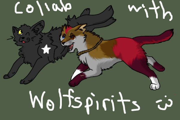 Collab with Wolfspirits