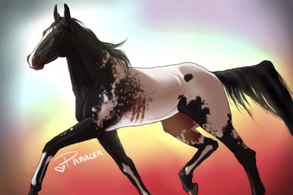 Another Horse x3