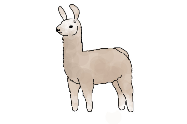 Here's a llama,