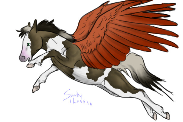 Paint Pegasus