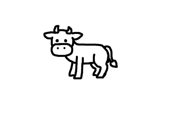 Cows