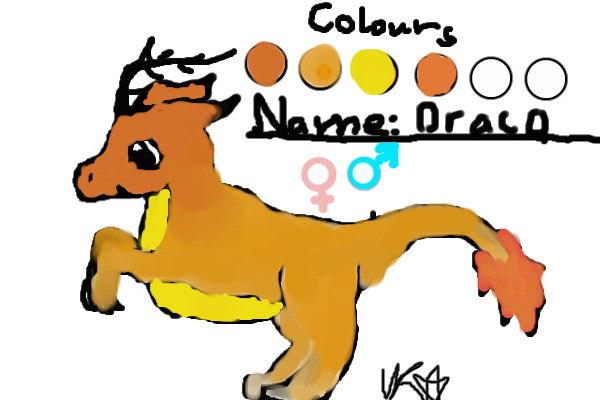 Kangaroo Dragon