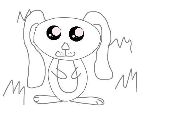cute bunny