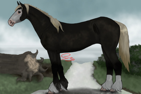 Horsie