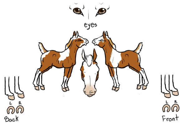 mini foal reff