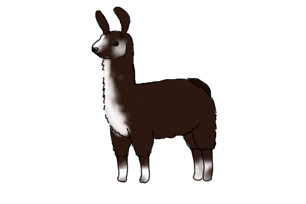 Llama for ~RayRay~