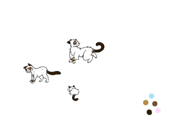 Mods please move to colored in