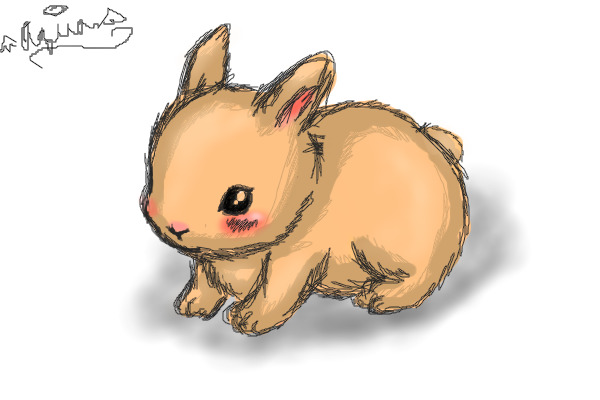 Bunny!