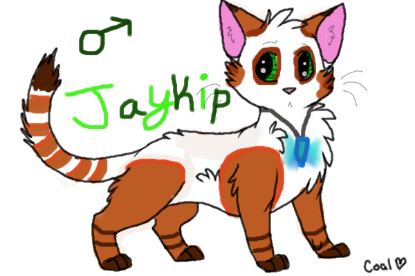 My new Character Jaykip