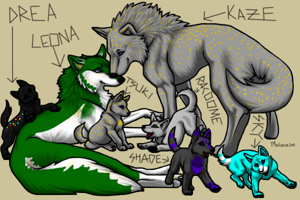 Wolf family
