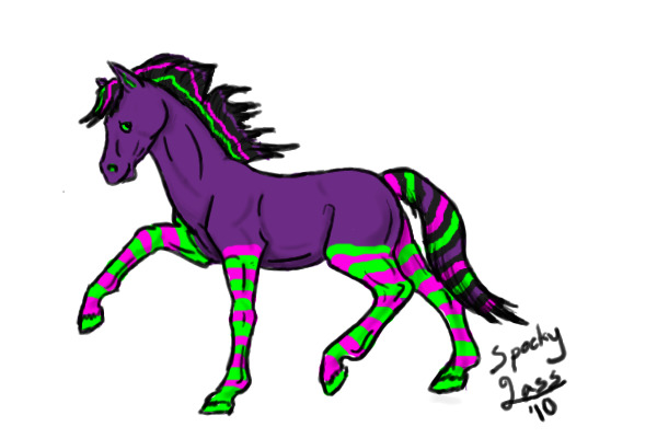 new horse