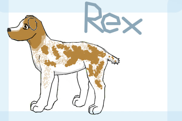 Rex- the dog