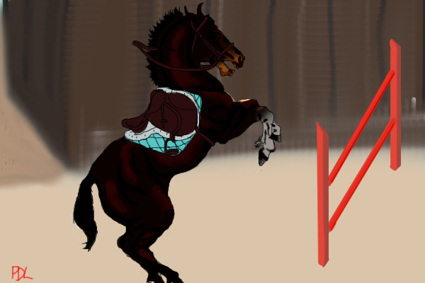 Seal Brown Stallion...