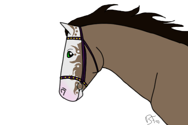Horse <3