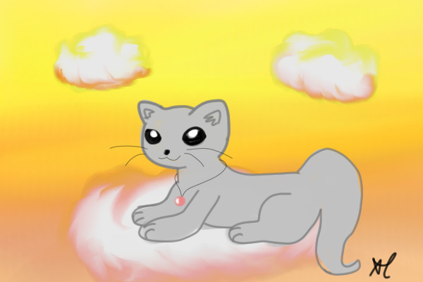 Cat In the clouds~