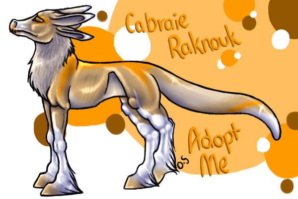 }|{ Cabraie Raknouk Adoptables }|{ Accepting Artists