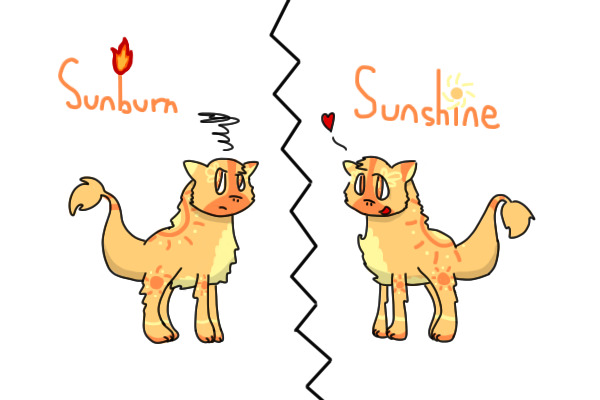 Sunburn & Sunshine