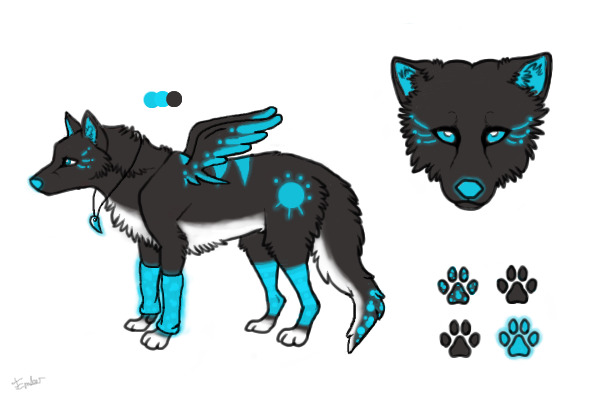 Shiny Sky Blue & Black Design~