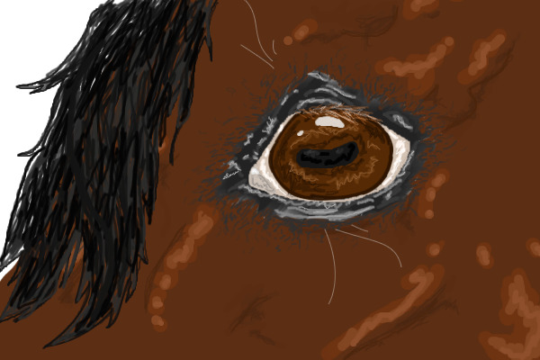 Viewing the world WIP