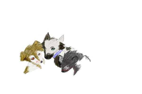 Reference :3