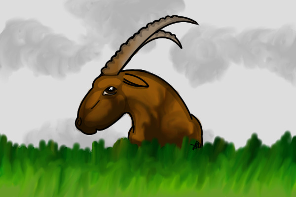 Just Another Cloudy Day for this Alpine Ibex