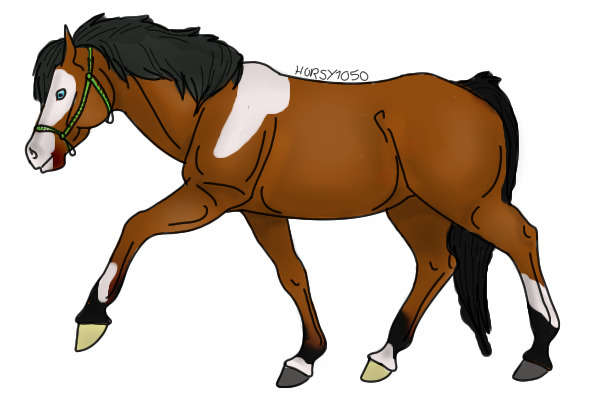 Patches the pony