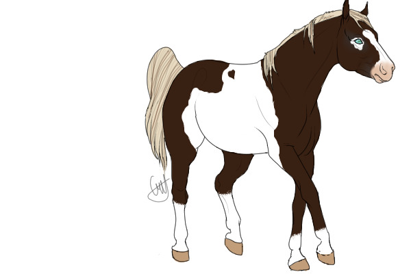 Me as a horse